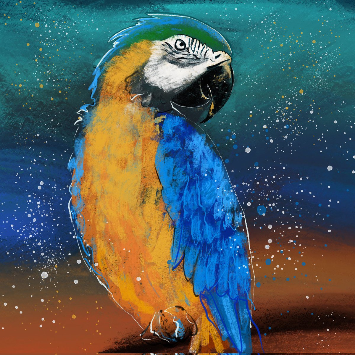 Elena_Vedy (@elena_vedy) on Twitter photo 