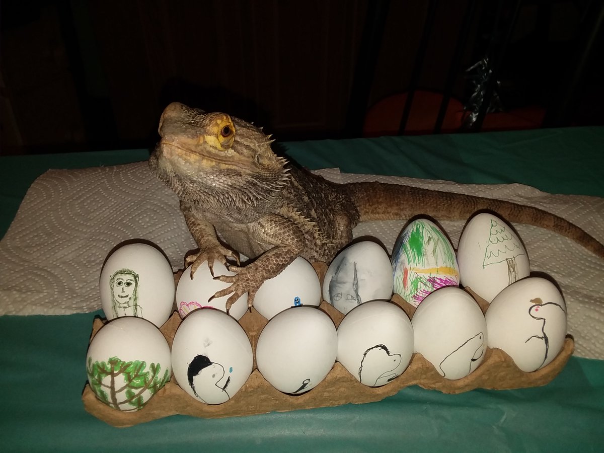 HMForrest1's tweet image. Happy Easter, everyone!