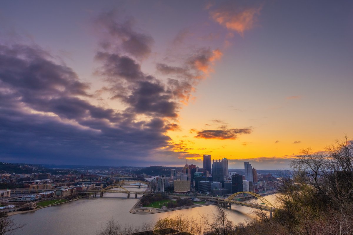 Dave DiCello tweet media