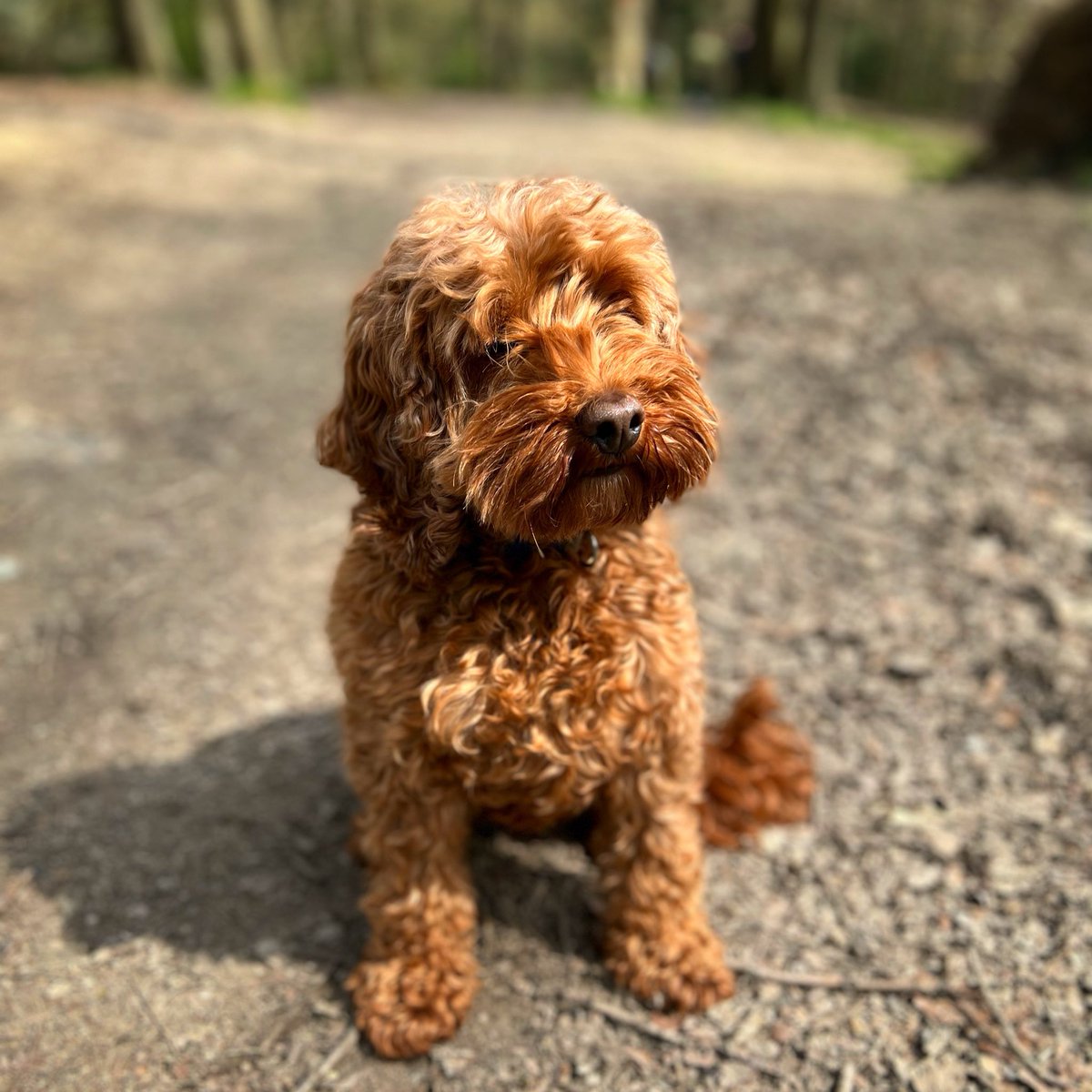 Dan Walker tweet media