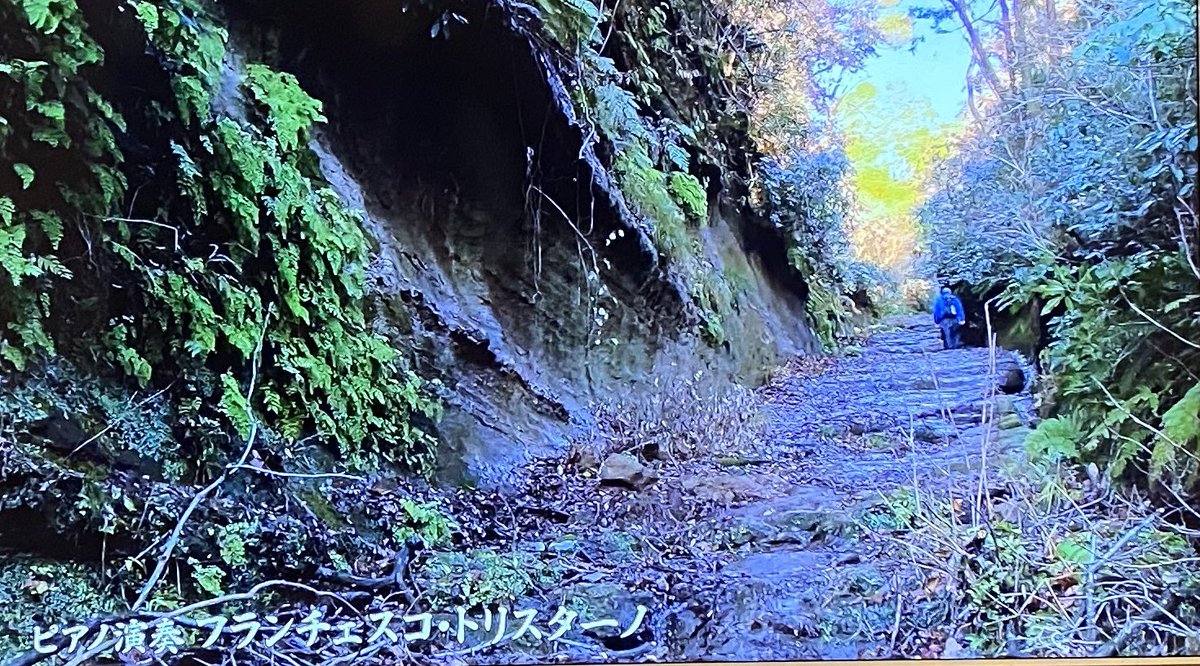 Mami Otsuka🎹 tweet media