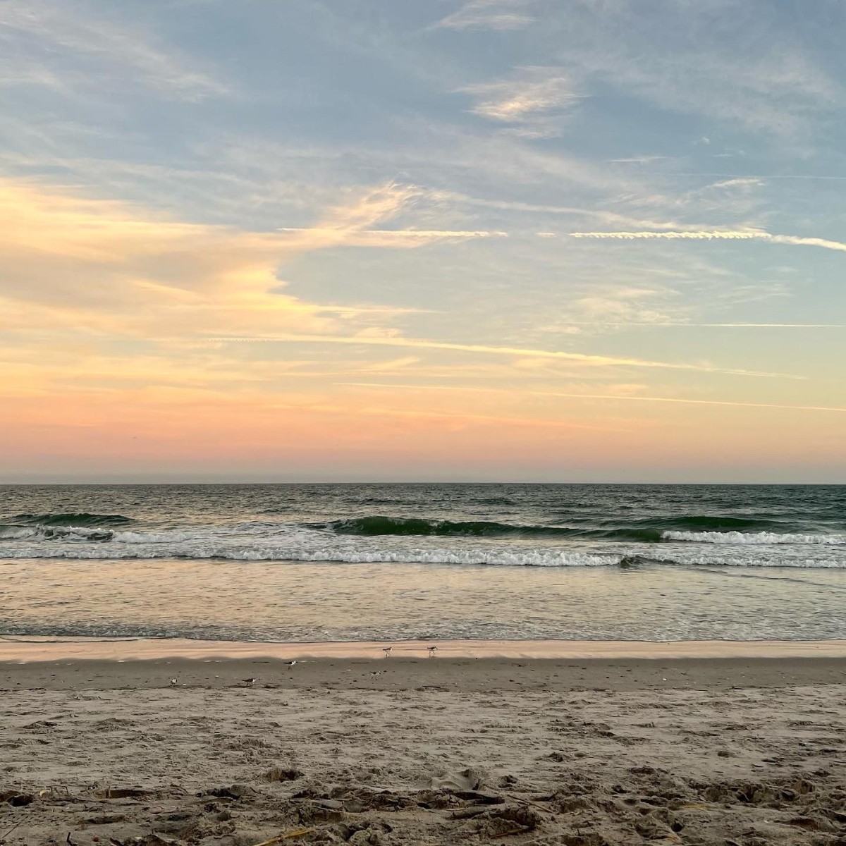 Visit Wrightsville Beach, NC tweet media