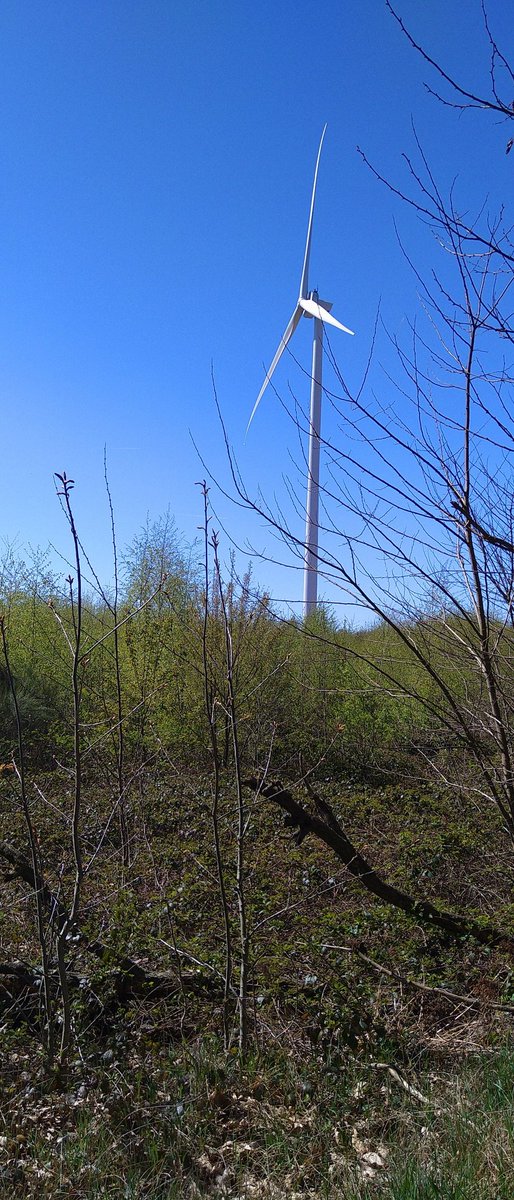 kimmyy1990's tweet photo. @FleurAgemaPVV Hier ook zo'n mooi stukje ongerepte natuur.. al geregeld dooie vogels gezien... Doodzonde 😔😔 https://t.co/rxjLsHZJFW