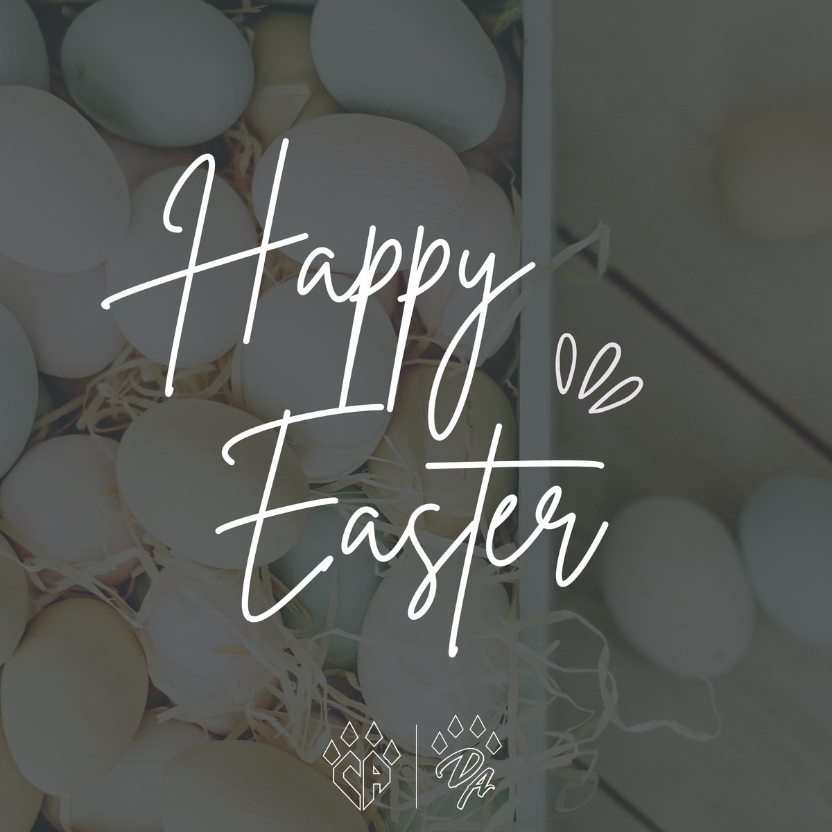 CA_CharlotteNC's tweet photo. Wishing you a Happy Easter Sunday!🐰🐣💐 https://t.co/MB8aWNpb3a