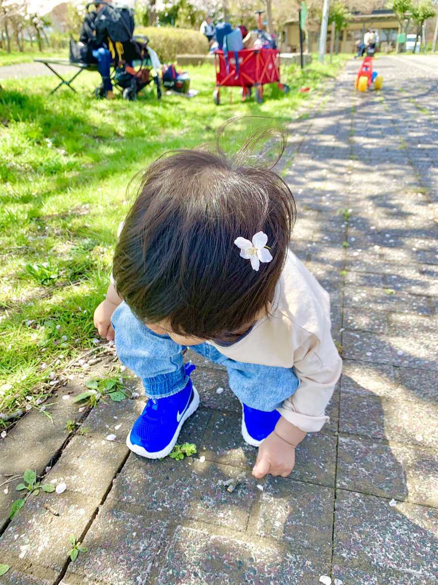 UW0611's tweet photo. ママお手製のお弁当を持って
お花見。ピクニック。
天気もよく桜も満開で
とても見頃でした。
来年もまた桜見に行こう。
#古代の里 #お花見 #桜 #ピクニック https://t.co/0kpAi1fa8c