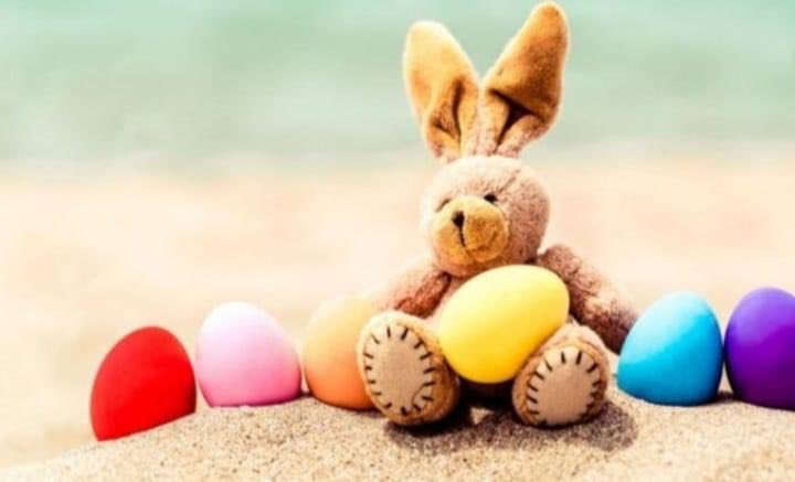 MFDConfederation tweet media