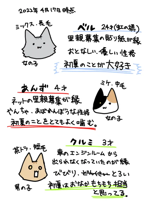 うちのにゃんずそれぞれ
ちなみにベルは24歳と10カ月だったのよ…めっちゃ長生き…私のことが大好きだった。私のことが大好きだった!!(大事な事なので何度も言う)
あんずもクルミも慕ってはくれてるけど、ベルは常に膝にのってくれてたのよ…… 