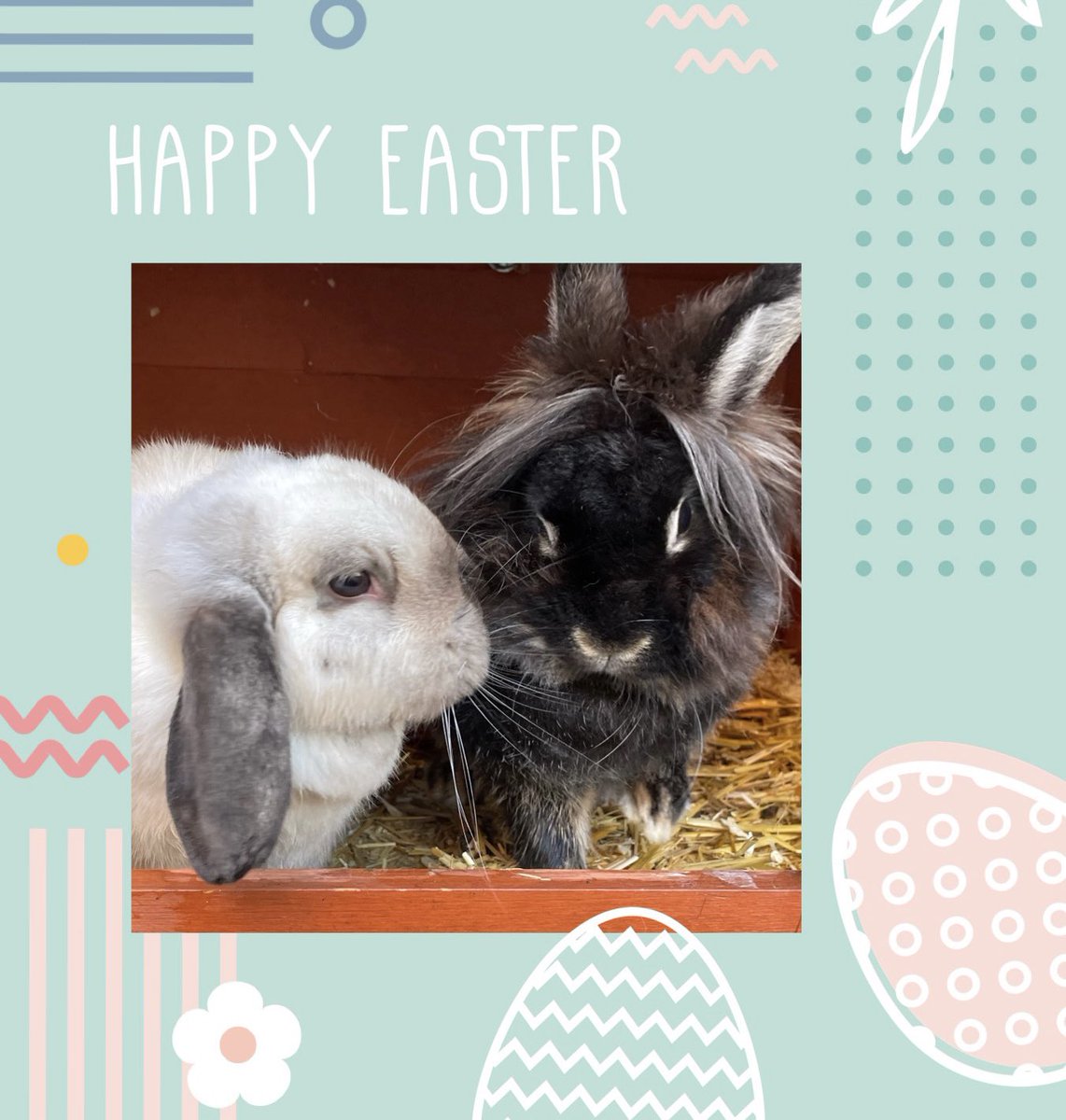 MarellArts's tweet photo. Happy Easter! 🐰🥚🐣 
#Easter  #EasterBunny https://t.co/fAQ7pza12D