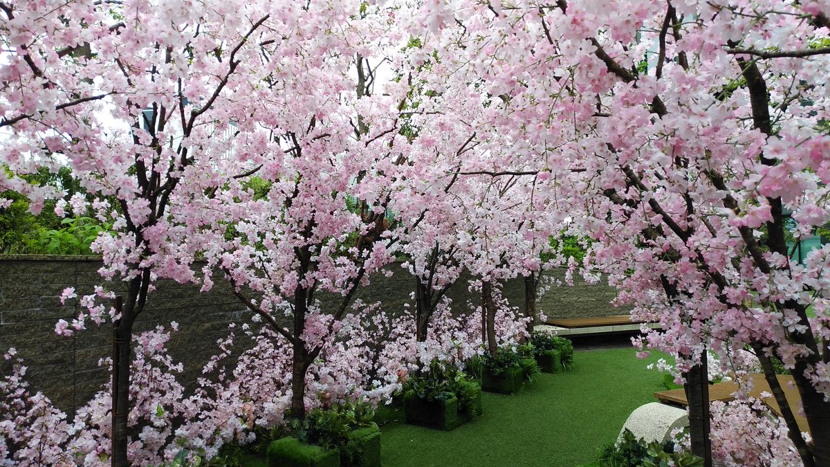 みんなの スカイガーデン 口コミ 評判 食べたいランチ 夜ごはんがきっと見つかる ナウティスイーツ