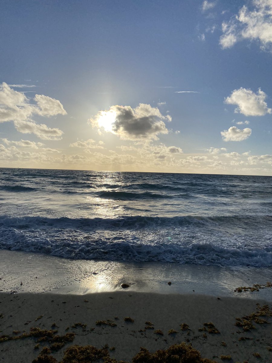 gocanes01's tweet photo. @Beags_Beagle Happy Easter from Fort Lauderdale! https://t.co/JhrPOlawWh