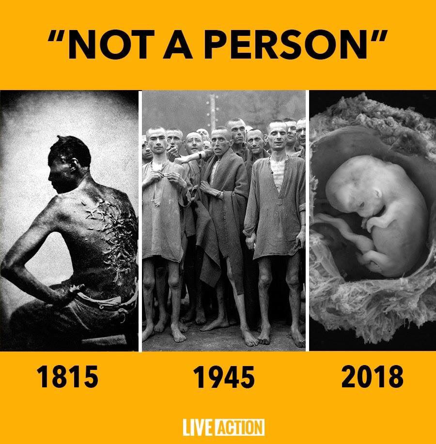 Reynolds037's tweet photo. @Unth1nker Seems fairly straight forward and simple...
Why does it take so long for certain groups of people to figure that out? https://t.co/dDlfZO3fVq