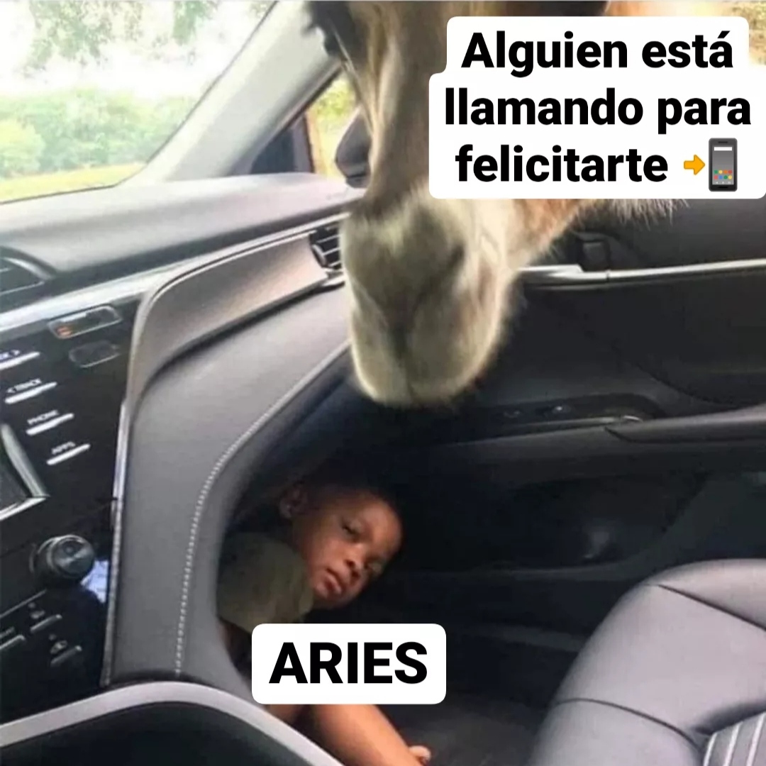 aries_hn's tweet photo. ¿Cuántos de vosotros sois así? 🤣🤣🤣 https://t.co/5lZz18vX5B