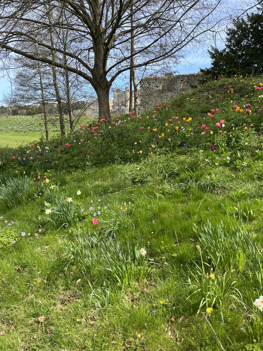 Our 3rd wedding anniversary today, but the first one that we’ve been allowed out to celebrate, so we’ve come to this magnificent place ⁦<a href="/leedscastleuk/">Leeds Castle, Kent</a>⁩