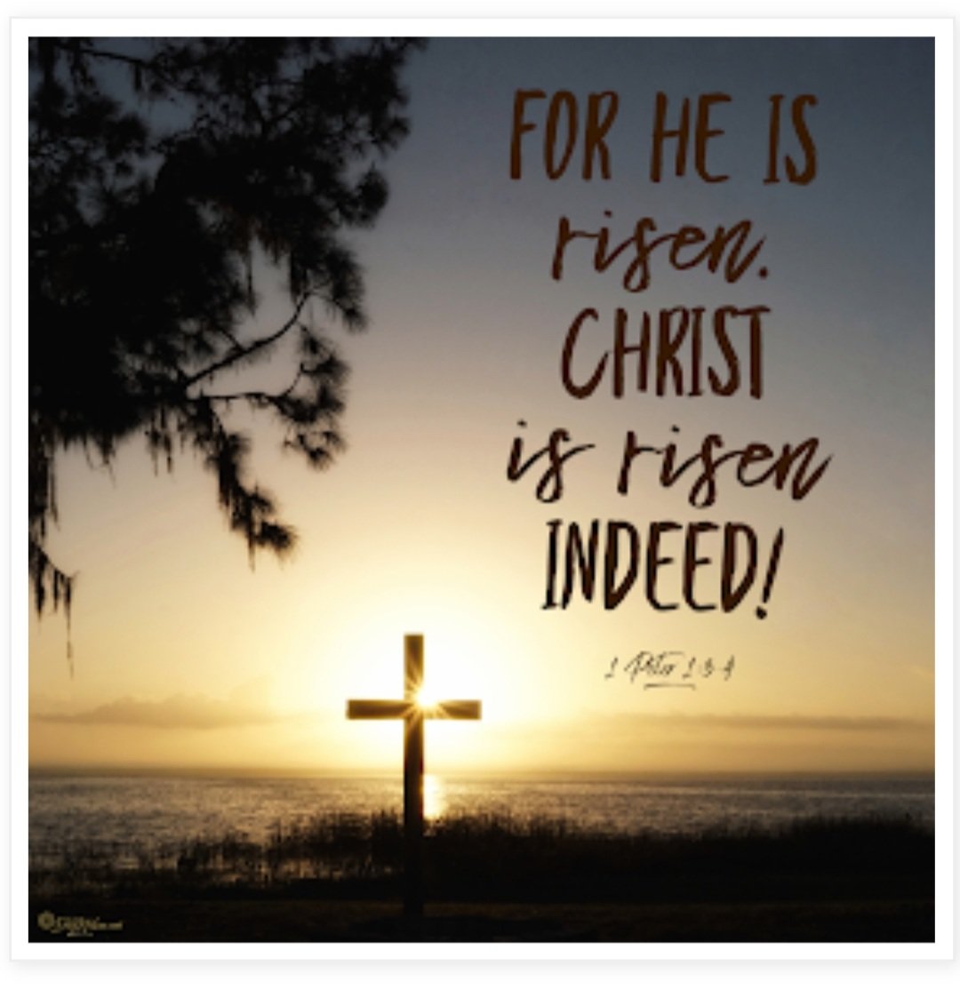 Happy Easter! ✝️
Wishing our school community a safe and blessed day @TCDSB @archtoronto  #Easter #HappyEaster #JesusHasRisen