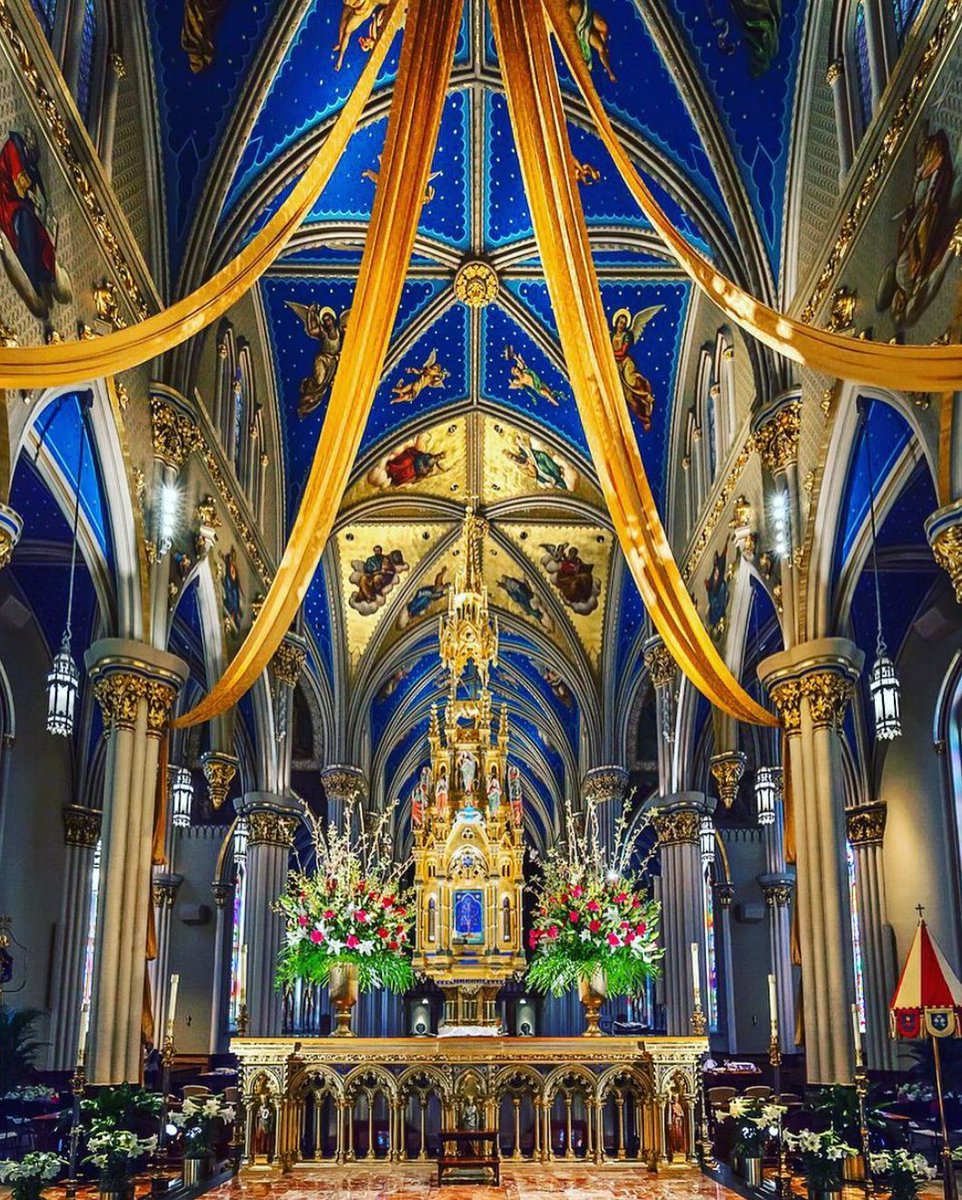University of Notre Dame (@notredame) on Twitter photo Alleluia! He is risen!
Wishing you a blessed Easter from Notre Dame.
We invite you to join us as we celebrate at the Easter Sunday Mass at the <a href="/NDBasilica/">Notre Dame Basilica</a> streaming live on <a href="/CatholicTV/">CatholicTV</a> at 10 a.m. ET: go.nd.edu/CatholicTVNotr… Alleluia! He is risen!
Wishing you a blessed Easter from Notre Dame.
We invite you to join us as we celebrate at the Easter Sunday Mass at the <a href="/NDBasilica/">Notre Dame Basilica</a> streaming live on <a href="/CatholicTV/">CatholicTV</a> at 10 a.m. ET: go.nd.edu/CatholicTVNotr…