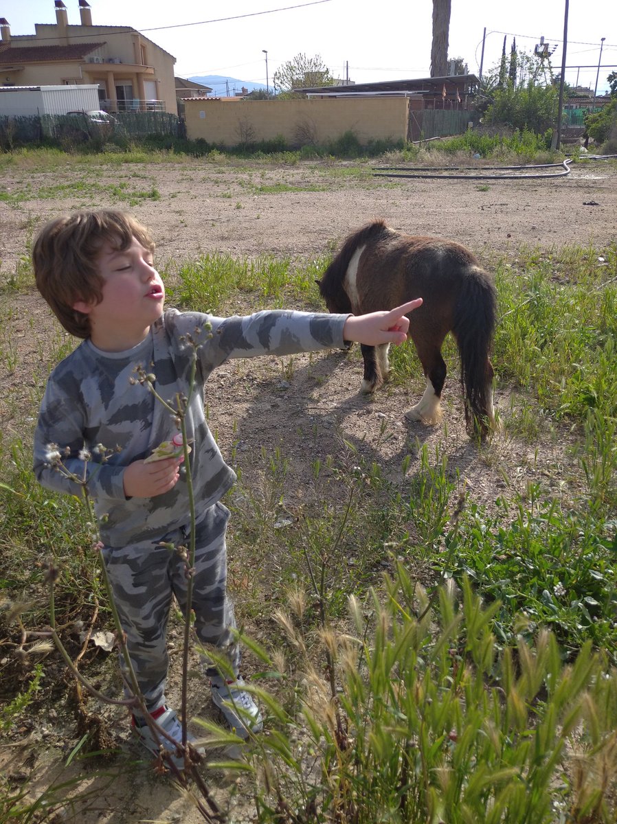 pikyguasona's tweet photo. @Mikiriver Ahora tienes un bulevar, y a los lados puedes encontrar cosas increíbles, como un pony! #Rusico flipa en sus paseos, increíble lo que se puede encontrar en la orilla de la vía... https://t.co/c8j3bIVkQk