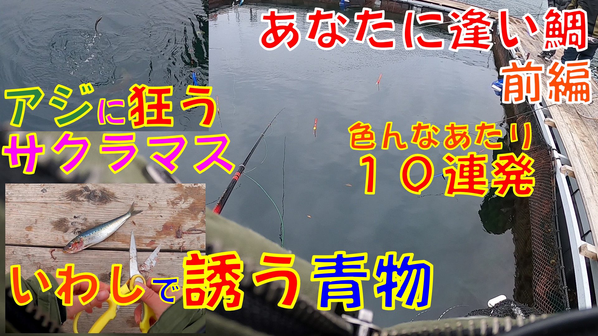 96チャンネル 96outodoor Twitter