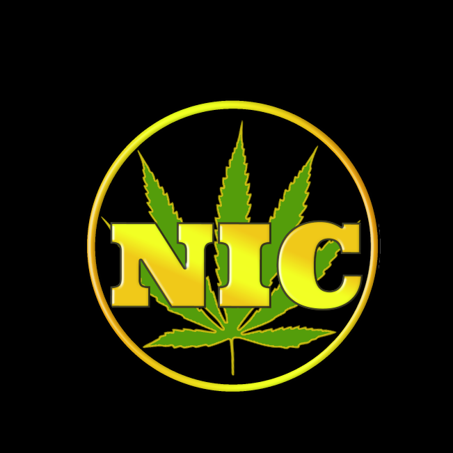 NEW ATH 11.60$ 
NIC$ TO THE MOON! 🚀
#play2earn #NFT #Cryptogame #P2EGame