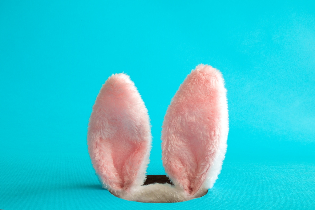 Drizzate le orecchie! TantiauguridibuonaPasquasupervelocidallaconnessionepiùvelocechec’è!😉#Pasqua2022