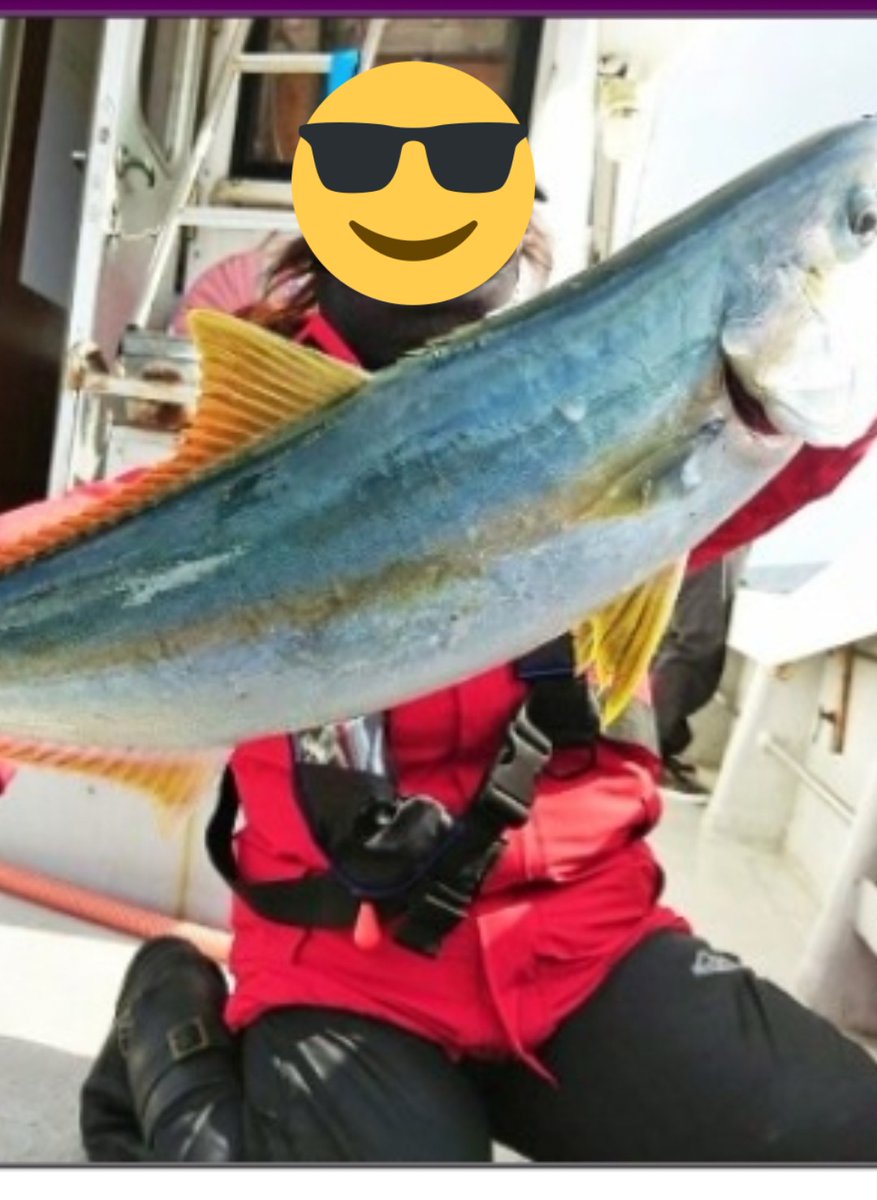 ろめ姐さん(ゆうき)🐾 tweet media