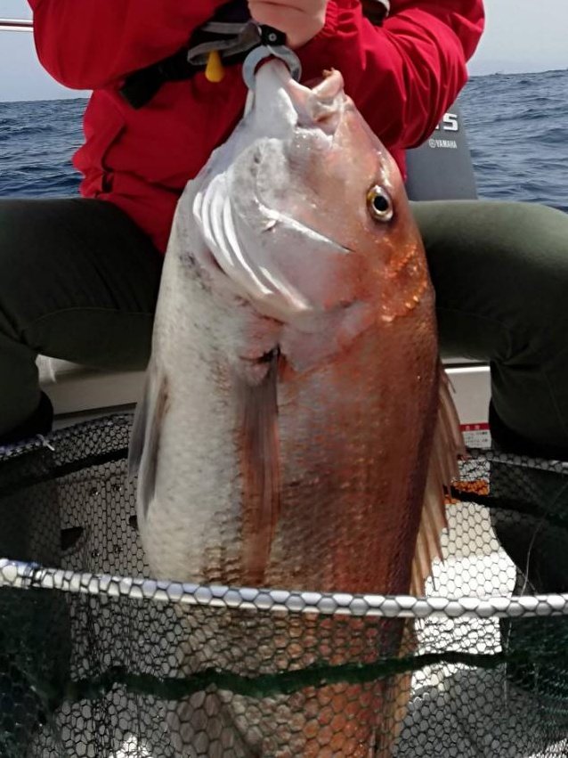 ろめ姐さん(ゆうき)🐾 tweet media