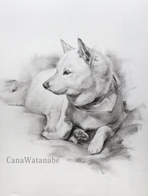 Tweetler Listesi渡辺香奈 日本橋三越特選b画廊個展11 16 21 Karma Etiketi Dibujo Verdi 1 Whotwi Grafiksel Twitter Analizi