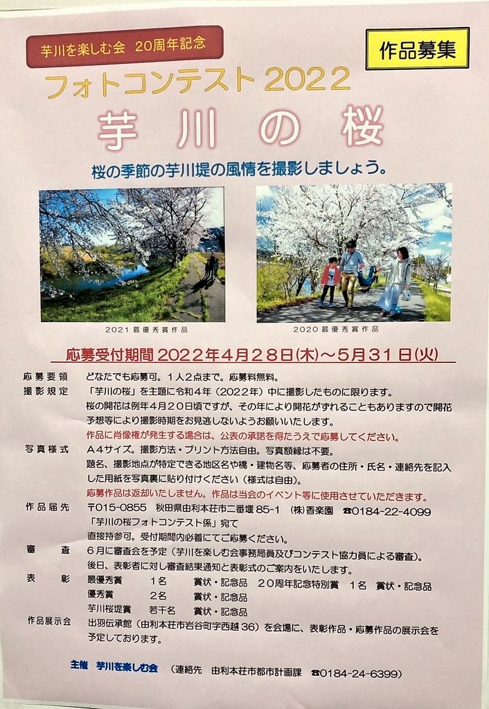 【芋川桜づつみ】
芋川の桜も徐々に咲き始めました🌸３分～5分咲きといったところでしょうか。
4/28からフォトコンテストも開催するようです🤩ぜひ「芋川の桜」の写真を撮って応募してみて下さい📸