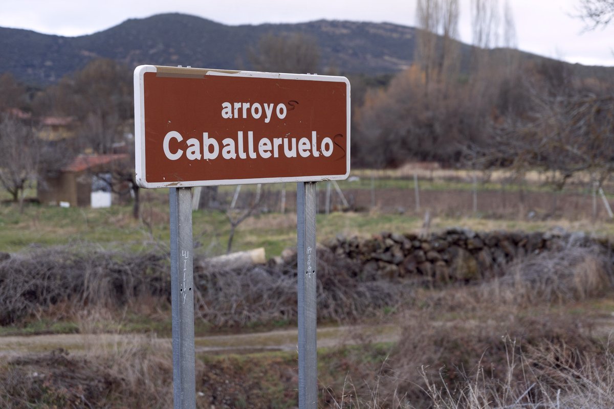 CasaChaluca's tweet photo. Arroyo Caballeruelo, en La Aldehuela. Reserva @CasaChaluca en: https://t.co/SFweJSAyBq https://t.co/PPI3rwe6vw o casachaluca@gmail.com #relax #alojamientorural #casarural #turismorural #escapadarural #TurismoconPerros #DogFriendly #CasaChaluca https://t.co/G7O5bafEDk