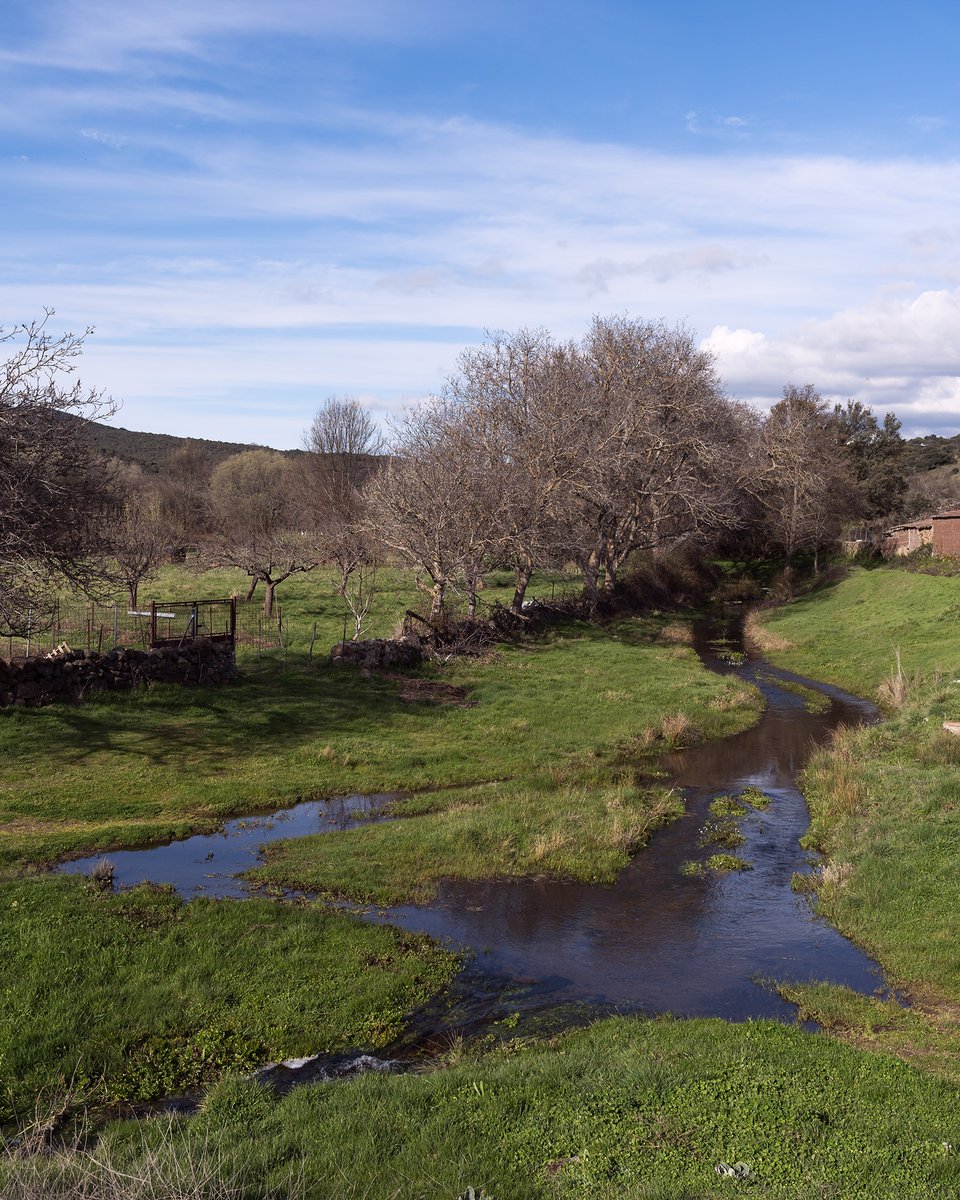 CasaChaluca's tweet photo. Arroyo Caballeruelo, en La Aldehuela. Reserva @CasaChaluca en: https://t.co/SFweJSAyBq https://t.co/PPI3rwe6vw o casachaluca@gmail.com #relax #alojamientorural #casarural #turismorural #escapadarural #TurismoconPerros #DogFriendly #CasaChaluca https://t.co/G7O5bafEDk