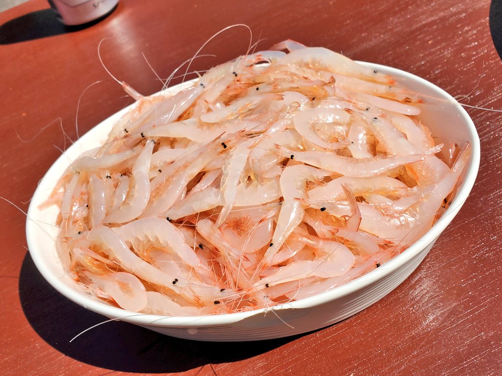shiori_skmt's tweet photo. テントサウナしてバーベキューして富山と言えばの白エビもたっぷり食べられて参加者のみんなと色んなキャリアの話ができて私は大満足です😋(お仕事です)

#旅の記憶に人が残る
#キャリ旅 #TRAPOL https://t.co/rlhJHQtBpN