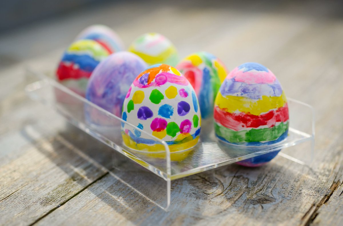 GoCuriosity's tweet photo. Happy #EasterSunday from the team at GoCuriosity! 
Wishing you a great day 🐥😊 https://t.co/aNWGCMhuXp
