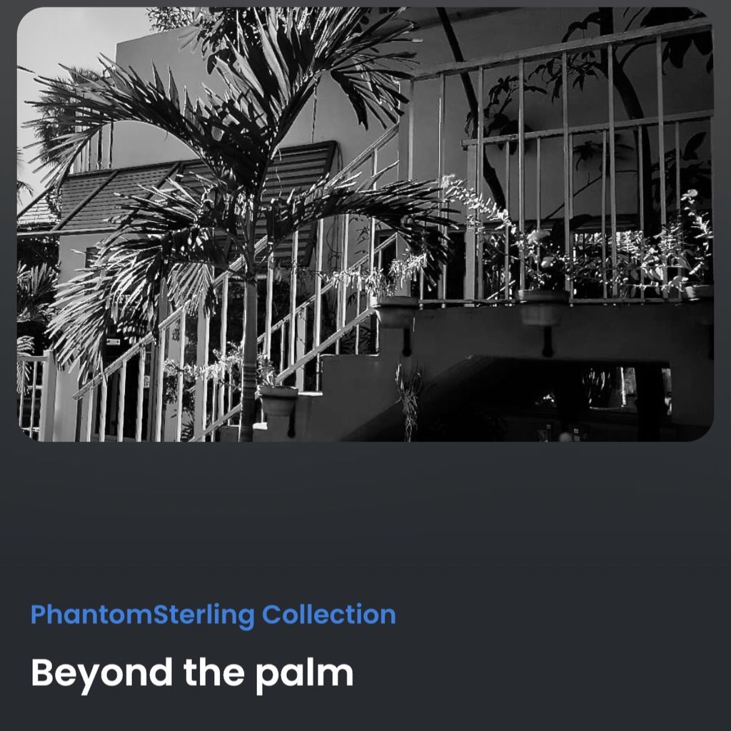 PhantomSterling's tweet photo. @Dix_eth https://t.co/lztmw7C5Nf #NFT #NFTdrop #palmtree #holiday #Miami #nftforsale https://t.co/zInEhuWApU