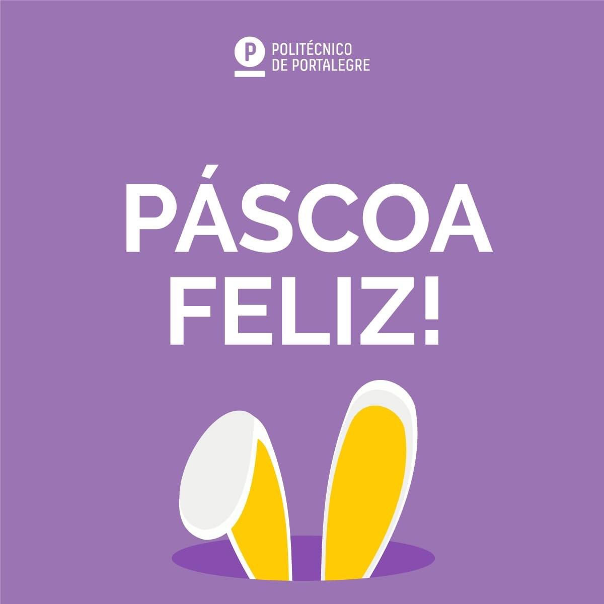 Politécnico de Portalegre tweet media