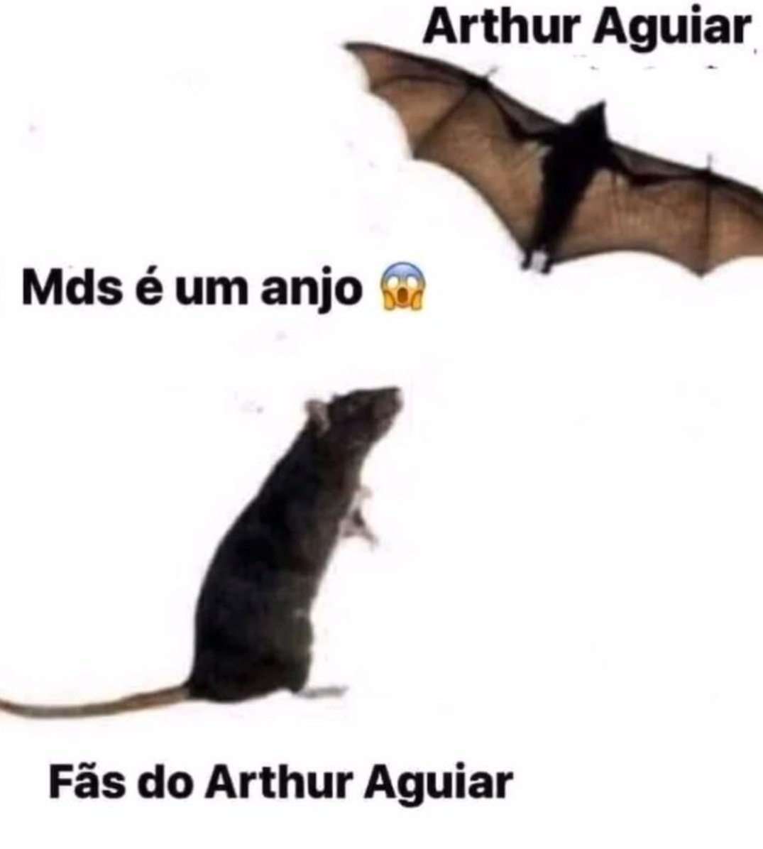 APrinatico's tweet photo. "SE O ARTHUR SAIR ACABOU..." 
Ta mas ele so dorme... O que ele joga é tentar manipular o pulico que ele é sozinho e não é apoiado por ninguem, no ao vivo quando é votado faz carinha de coitado, depois vai tentar falar com os caras e é macetado no argumento para provar q é coitado https://t.co/gckuZ4ZYO2