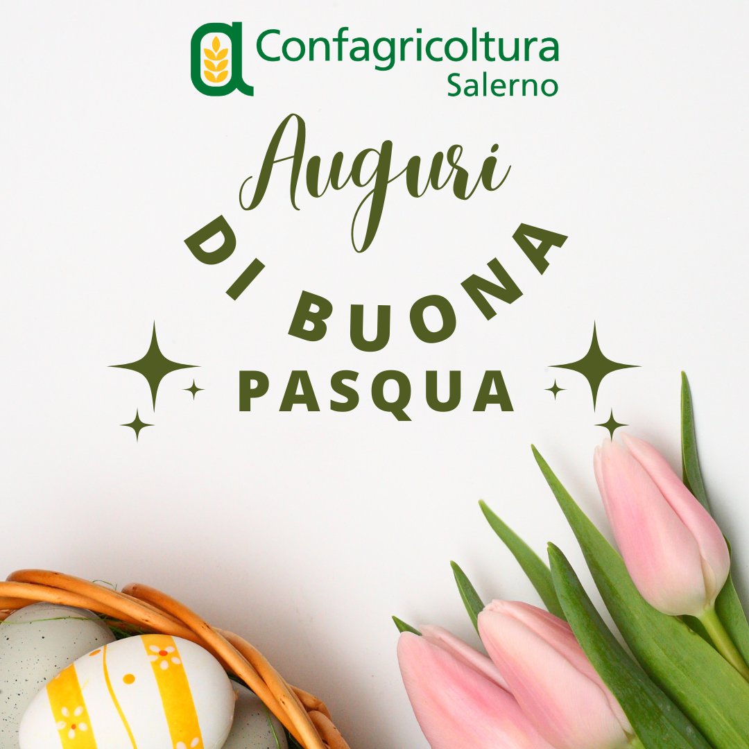 ConfSalerno's tweet photo. 𝗖𝗼𝗻𝗳𝗮𝗴𝗿𝗶𝗰𝗼𝗹𝘁𝘂𝗿𝗮𝗦𝗮𝗹𝗲𝗿𝗻𝗼 𝗮𝘂𝗴𝘂𝗿𝗮 𝗮 𝘁𝘂𝘁𝘁𝗶 𝘂𝗻𝗮 𝗳𝗲𝗹𝗶𝗰𝗲 𝗲 𝘀𝗲𝗿𝗲𝗻𝗮 𝗣𝗮𝘀𝗾𝘂𝗮

#noisiamoconfagricoltura #ConfSaAgriFoodLab #salerno #confagricoltura #confagricolturasalerno #buonapasqua https://t.co/CNzkhIO1N1