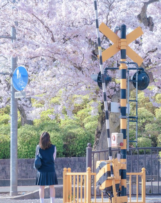 画像まとめ 秒速5センチメートル アニメレーダー