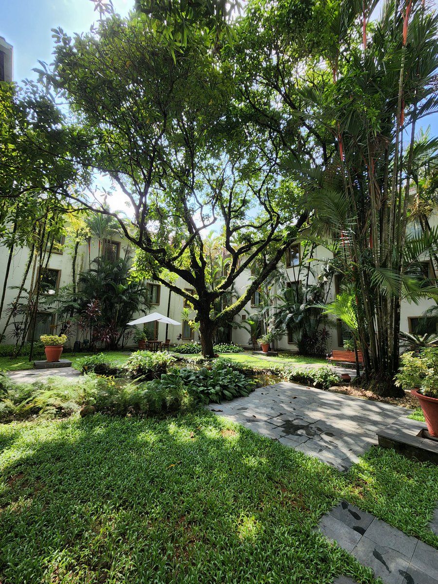 callmeshazzam's tweet image. #shotons22plus #samsung #wideangle 
Location Trident Kochi