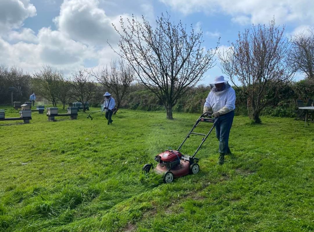 The gang have had a good tidy up at the apiary....don't you just love springtime! 🐰