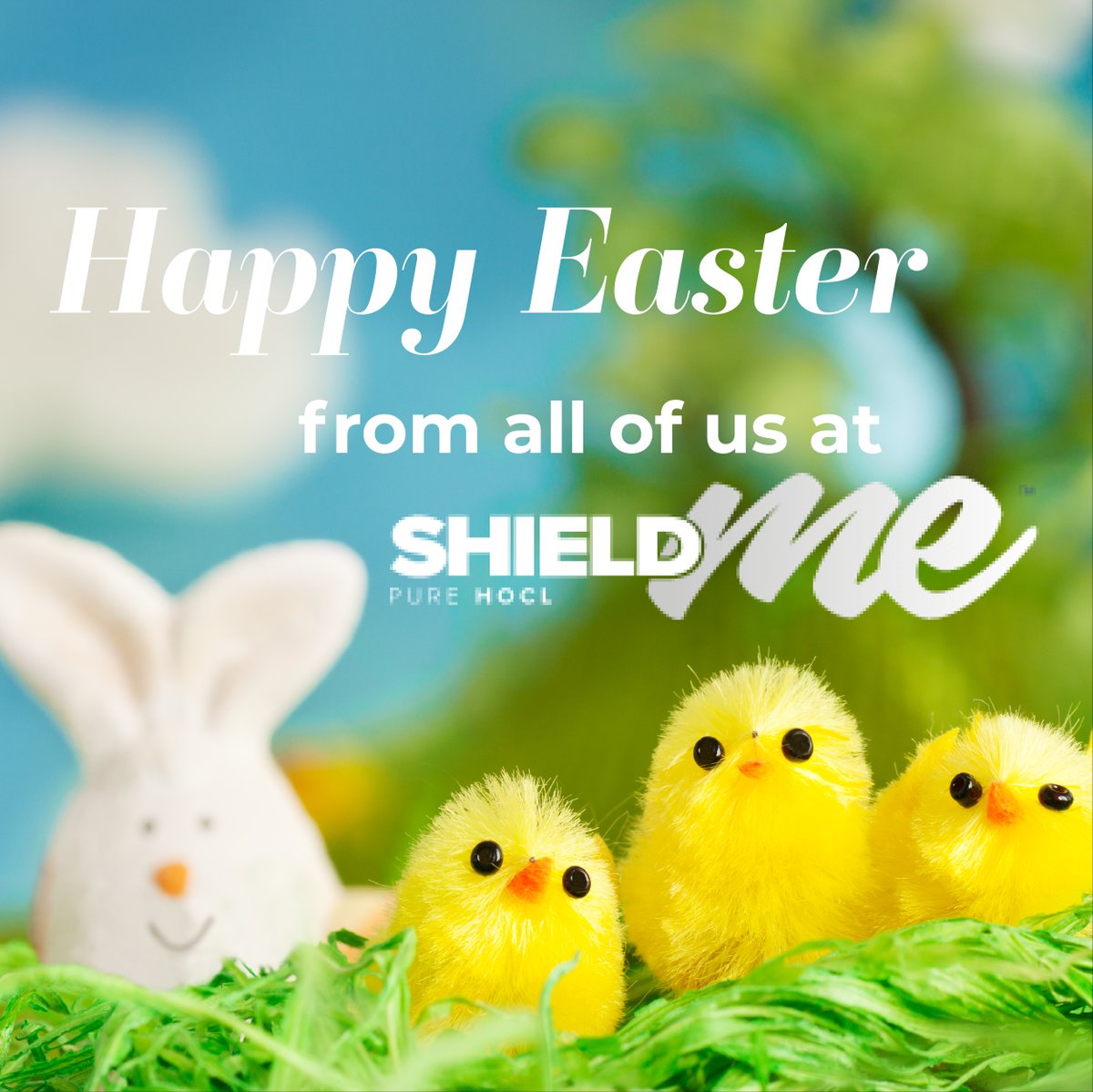 SHIELDme_'s tweet image. HAPPY EASTER! 🐰

The SHIELDme™ team wishes you a wonderful day! 

Stay safe. 🛡️
.
.
.
.
#SHIELDme #HappyEaster #EasterSunday #StaySafe #SHIELDmeUK