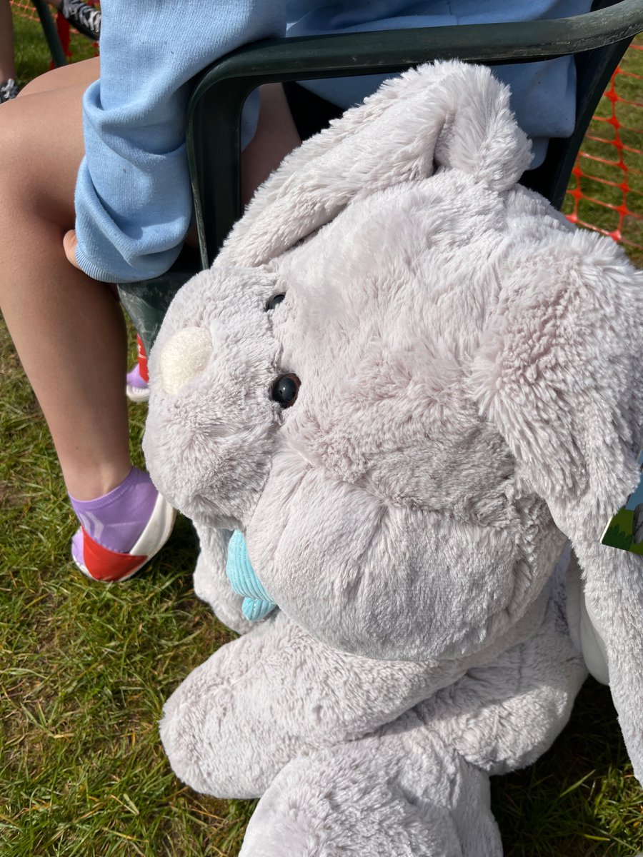 Fun House Bouncy Castles tweet media