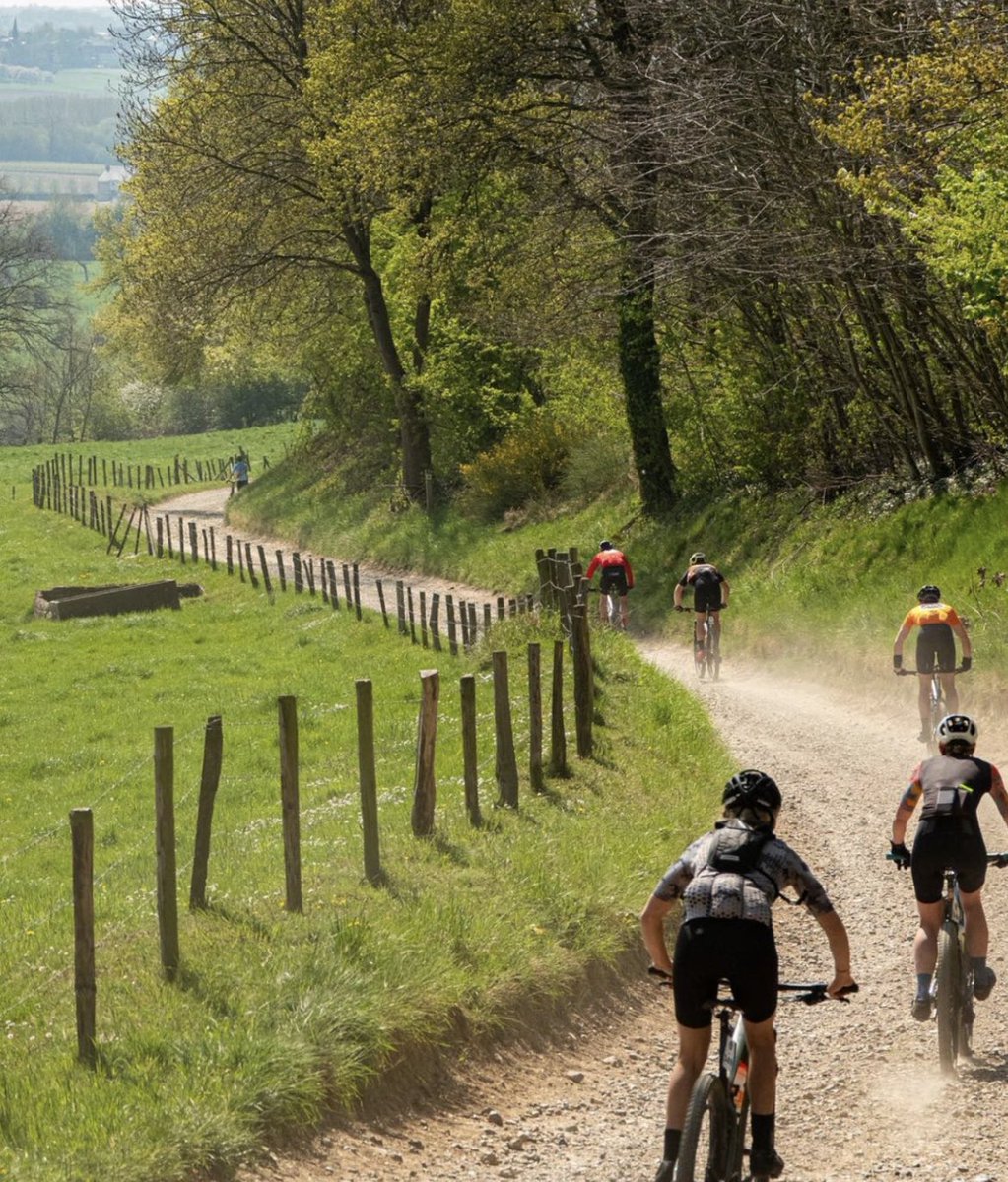 Bram Tankink tweet media