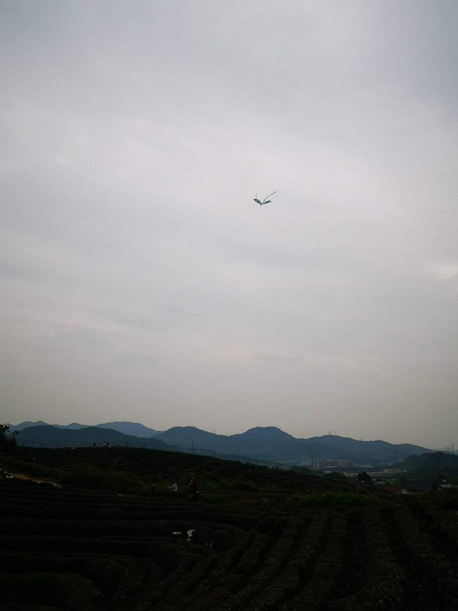 RealSeafish's tweet photo. Fly a kite in this really nice place...
Enjoy #Tea Terraced Fields in #Hangzhou #Zhejiang #China https://t.co/hS7rczxJhm