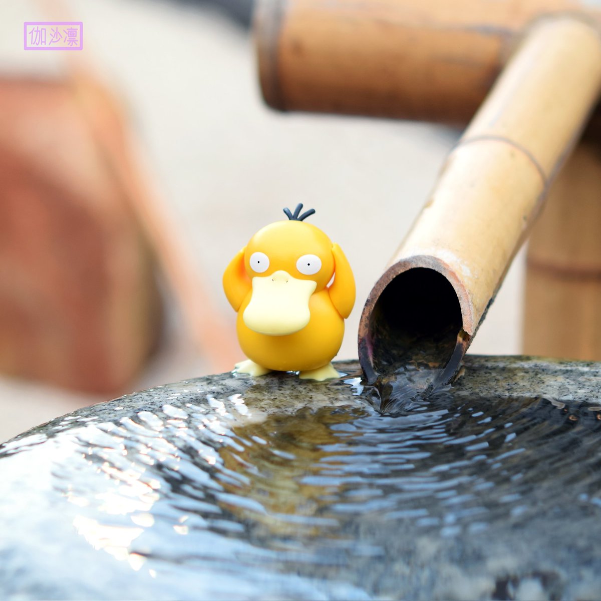 When is Psyduck gonna learn he can't swim 😅 

instagram.com/p/CcXs0hGp-2d/…

#pokemon #psyduck #wickedcooltoys #gottacatchemall