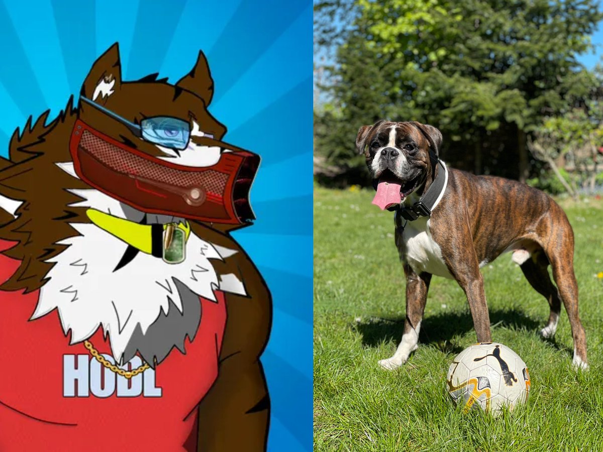 _silverstar88_'s tweet photo. Easter break 🙏
Spend time with the one you love ❤️
#fftb #crofam #cro
#HypedDogs #Dog #DogNFT #DogBoxer #BoxerLover #DogLover https://t.co/gqMSfMnmPM