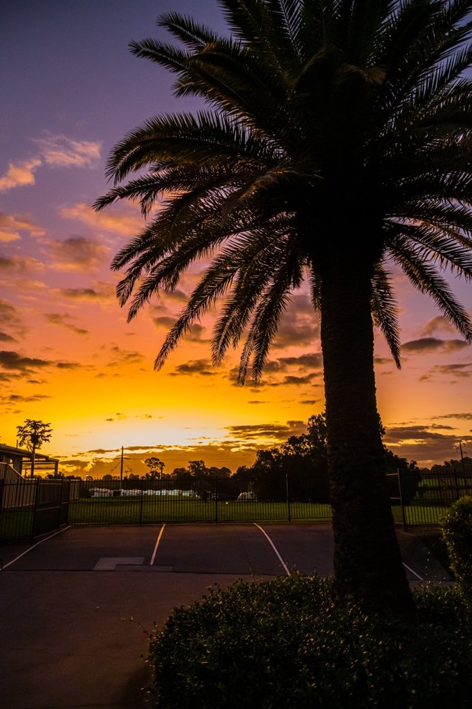 javanng's tweet photo. A spectacular sunset on Easter Sunday! Sunset views from Eagleby this evening.
πΈ Nikon Z 7II + NIKKOR Z 24-200mm f/4-6.3 VR lens.
#Easter #sunset #visitlogan #explorelogan #visitqueensland #seeaustralia #mynikonlife #zcreators #nikon @visitqueensland @visitlogan https://t.co/Jme5whnEcU