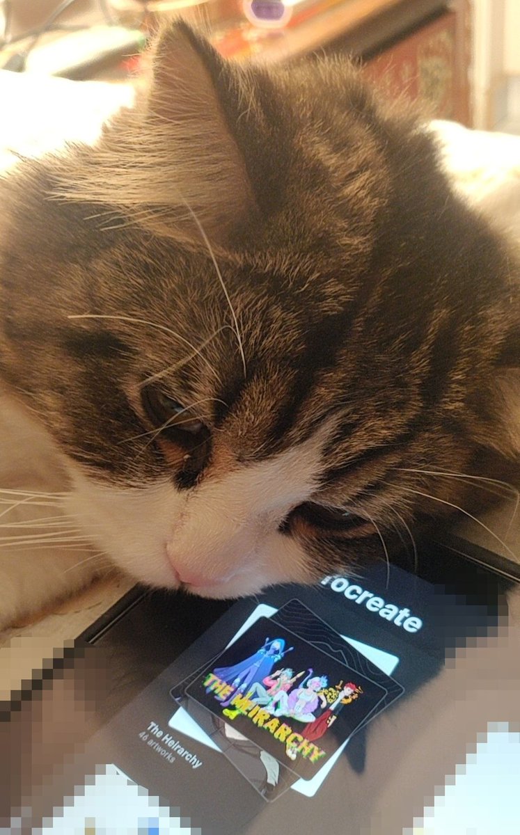 Pls note all our NFTs <a href="/thehierarchy__/">The Hierarchy</a> go through rigorous quality checks by our in-house curator, Patchykins.