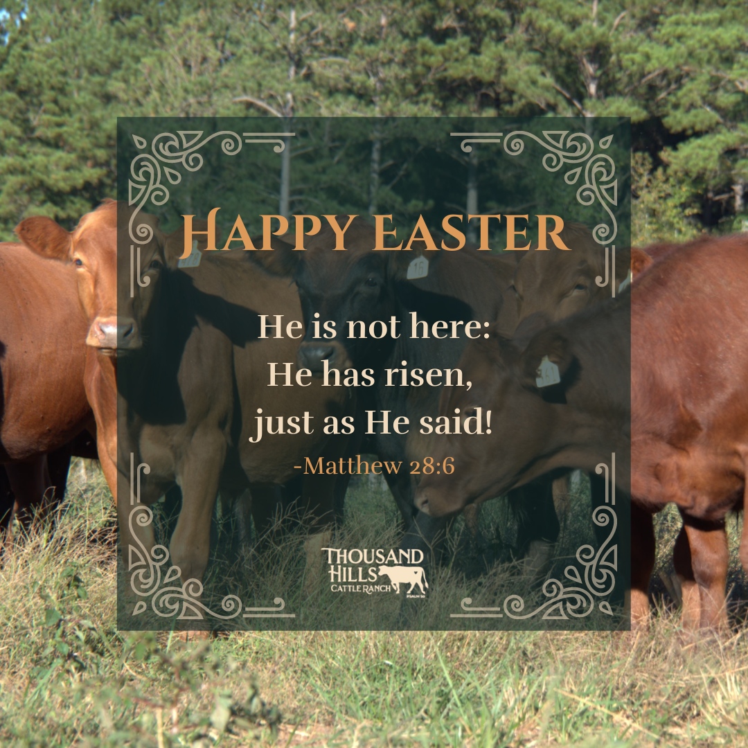 He has risen! He has risen indeed! #Easter #HappyEaster #ThousandHillsCattleRanch #THCR #ThousandHillCattle #certifiedorganic #certifiedorganicbeef