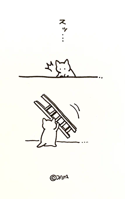 梯子を外される猫🐱 
