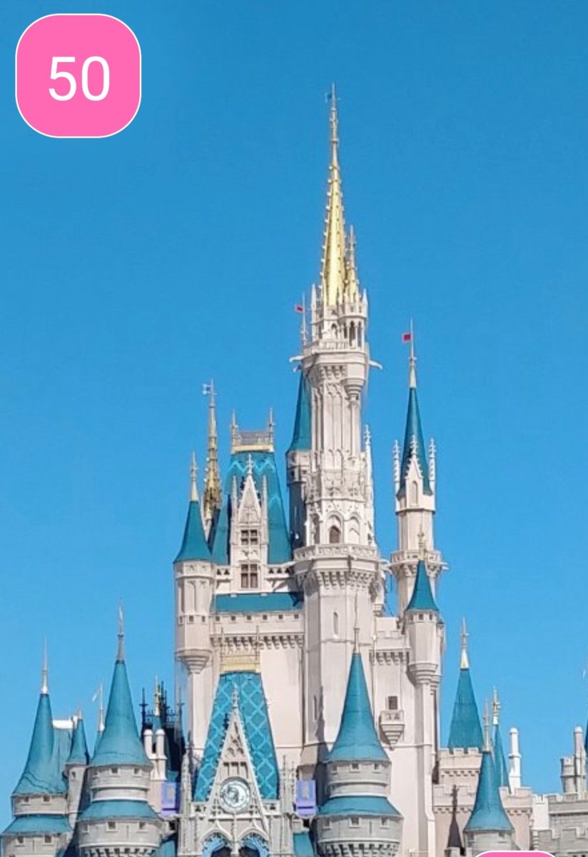 BevSheppard6's tweet photo. 50 days to our Disney Vacation and my first Disney Vlog series (I think 🤔) #WDW #WaltDisneyWorld #Disney #DisneyWorld https://t.co/X1nxReryIW