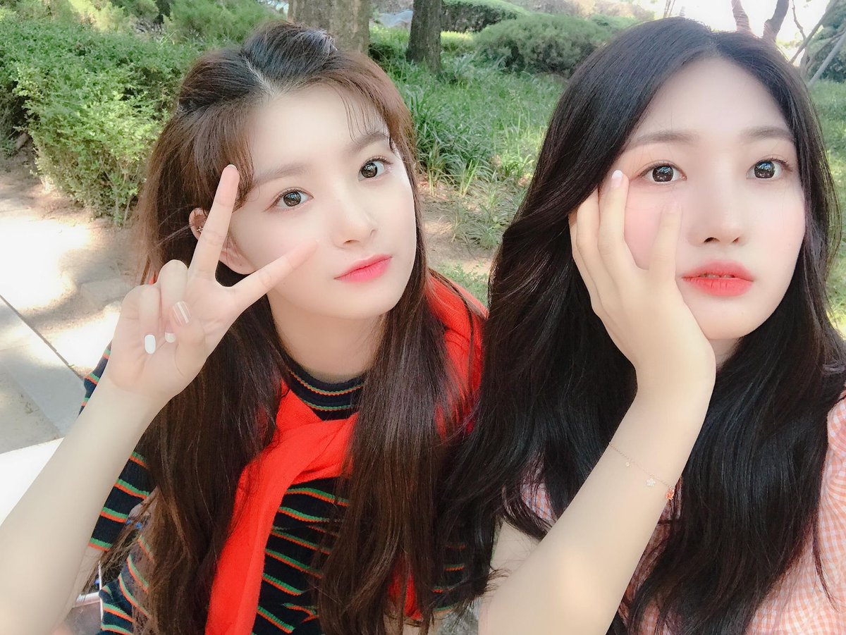 프린 tweet media